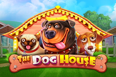 Слот The Dog House Лимитлесс Казино